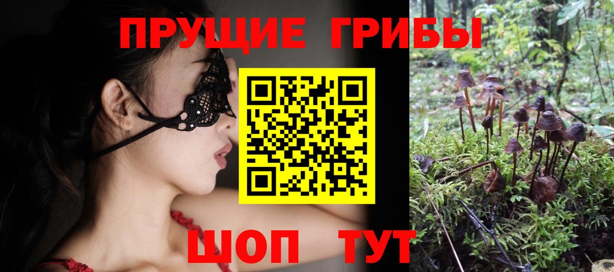 Псилоцибиновые грибы Psilocybe Новый Уренгой