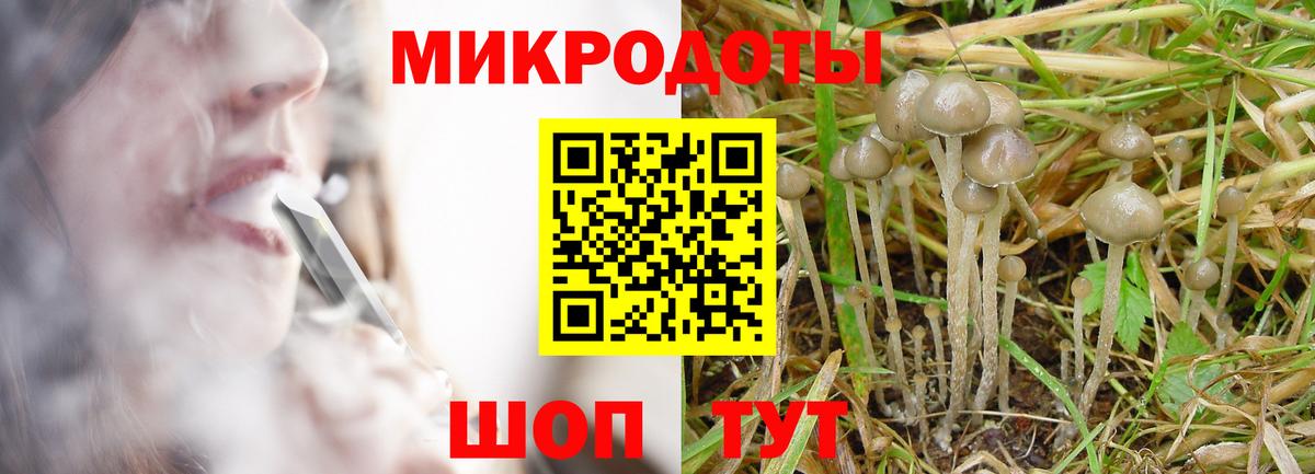 Псилоцибиновые грибы ЛСД  Вход с VPN  Псилоцибиновые грибы MAGIC MUSHROOMS  Новый Уренгой 